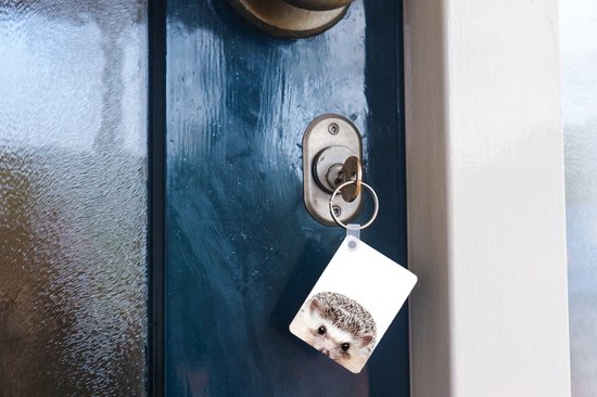 Porte-clés avec une tête de hérisson, accroché à une clé dans une porte.