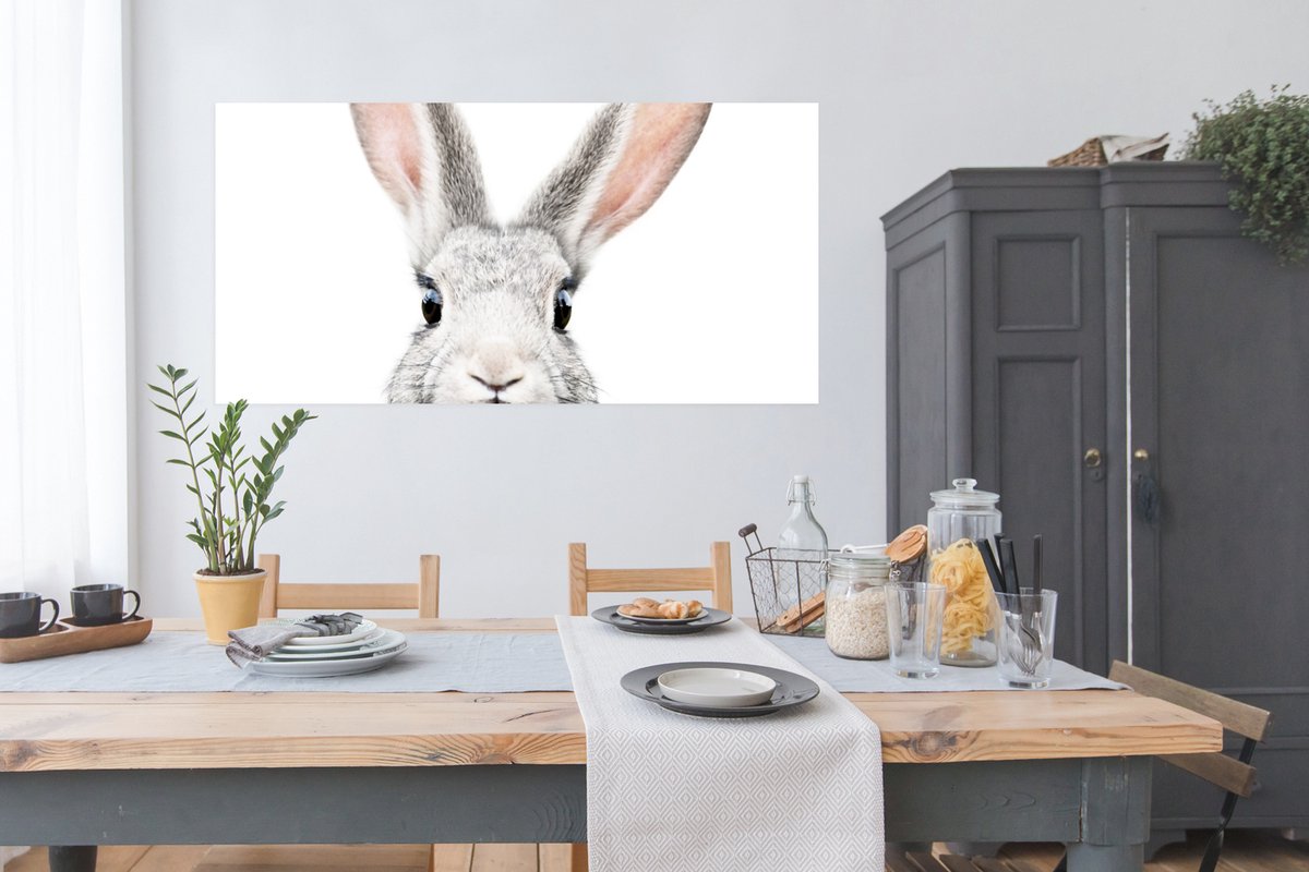 Poster Konijn - Dieren - Natuur - Wit - 150x75 cm