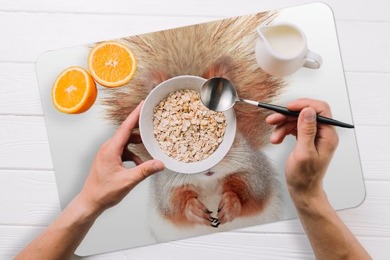 Set de Table - Napperons en Plastique - Écureuil - Animaux - Nature - Oranje - Wit - 45x30 cm - 6 pièces - Résistant à la Chaleur - Antidérapant - Coussinet - Amovible