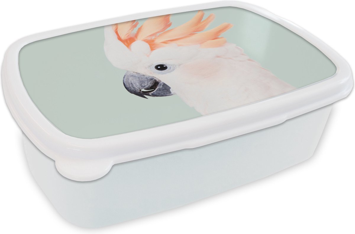 Broodtrommel Wit - Lunchbox - Brooddoos - Kaketoe - Dieren - Natuur - Wit - 18x12x6 cm - Volwassenen