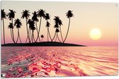 Tuinposter – Silhouet van Palmbomen op Onbewoond Eiland in de Oceaan bij Zonsondergang - 105x70 cm Foto op Tuinposter (wanddecoratie voor buiten en binnen)