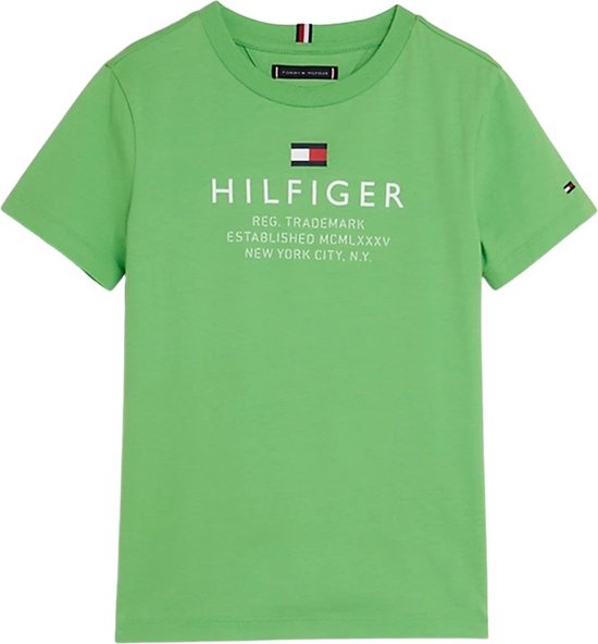 tommy hilfiger t shirt boy