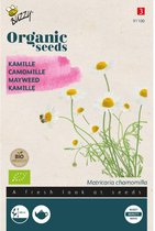Buzzy Organic - Camomille BIO (Matricaria chamomilla)