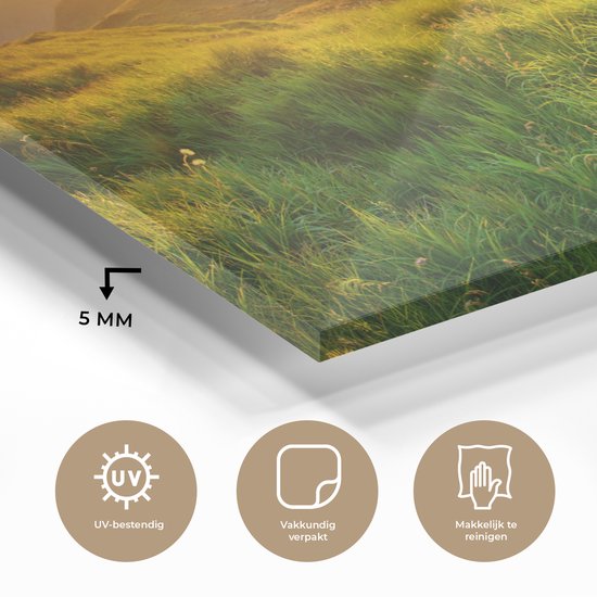 MuchoWow - Peinture sur verre - Herbe - Montagnes - Soleil - Nature - Photo sur verre - Décoration murale - Peinture sur verre - 160x80 cm - Verre acrylique - Décoration murale - Peinture sur verre nature