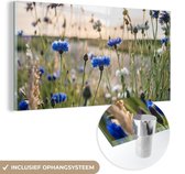 MuchoWow® Glasschilderij 120x60 cm - Schilderij acrylglas - Bloemen - Zomer - Korenbloem - Blauw - Zon - Wolken - Foto op glas - Schilderijen