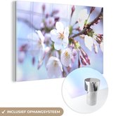 MuchoWow® Glasschilderij 180x120 cm - Schilderij acrylglas - Bloemen - Sakura - Tak - Bloesem takken - Foto op glas - Schilderijen