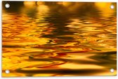 Tuinposter – Gouden Gloed over Rimpelig Water - 60x40 cm Foto op Tuinposter (wanddecoratie voor buiten en binnen)