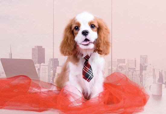 Papier peint Chien | V4 - 254 cm x 184 cm | Polaire 130gr / m2