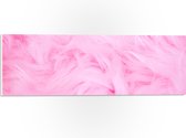 PVC Schuimplaat - Roze Veren - 60x20 cm Foto op PVC Schuimplaat (Met Ophangsysteem)