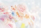 Fotobehang Flowers Pastel Colours | XL - 208cm x 146cm | 130g/m2 Vlies