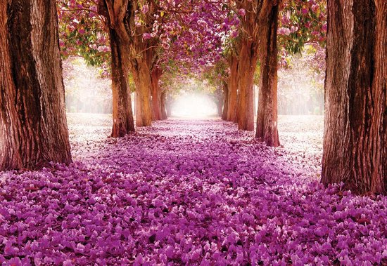 Fotobehang Flowers Tree Path Pink | DEUR - 211cm x 90cm | 130g/m2 Vlies