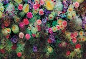 Papier Peint Fleurs Couleurs Design | XXXL - 416 cm x 254 cm | Polaire 130g / m2