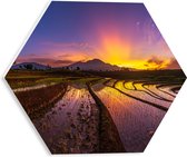 PVC Schuimplaat Hexagon - Zonsopkomst achter Berg bij de Indonesische Rijstenvelden - 30x26.1 cm Foto op Hexagon (Met Ophangsysteem)