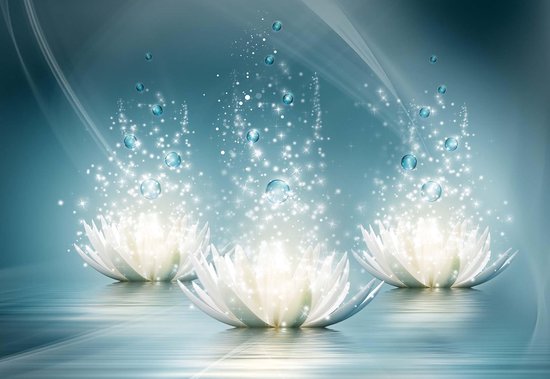 Fotobehang White Lotus Flowers Drops | XXXL - 416cm x 254cm | 130g/m2 Vlies