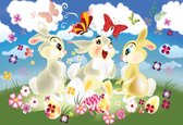 Fotobehang Rabbit Bunny Butterflies Flowers | XXL - 312cm x 219cm | 130g/m2 Vlies