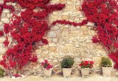 Fotobehang Red Flowers Stone Wall | XXXL - 416cm x 254cm | 130g/m2 Vlies