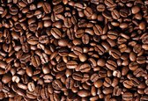 Fotobehang Coffee Beans  | XXL - 312cm x 219cm | 130g/m2 Vlies