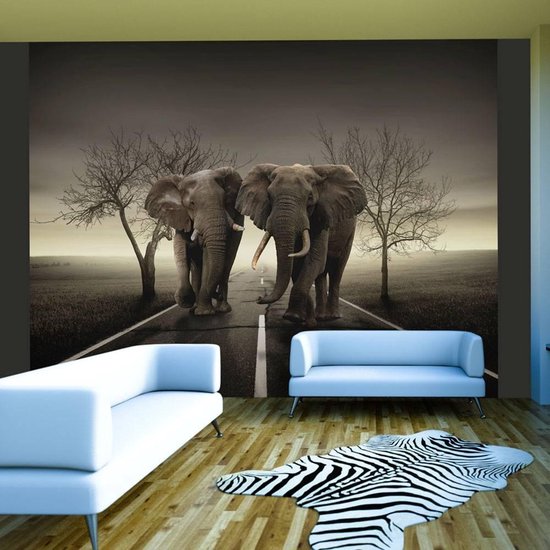 Vertrek naar Zeep grip 200cm X 154cm - Fotobehang - Stad van olifanten , zwart wit | bol.com
