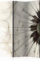 Vouwscherm - Witte Paardenbloem 135x172 cm , gemonteerd geleverd (kamerscherm) dubbelzijdig geprint