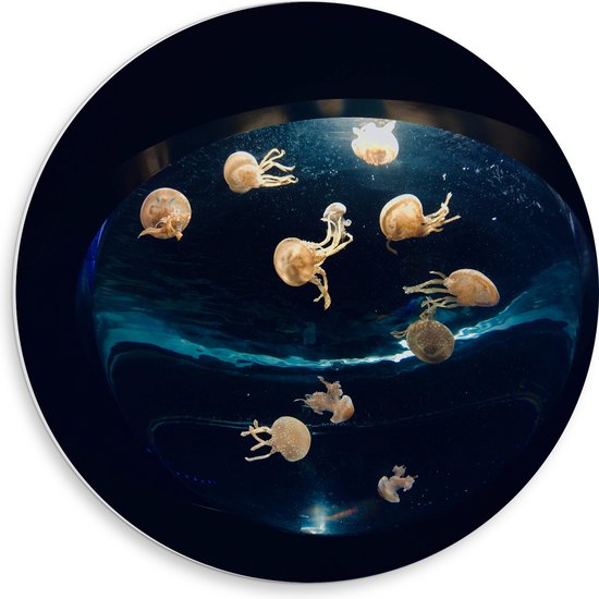 PVC Schuimplaat Muurcirkel - Groepje Oranjekleurige Kwallen in Bolvormig Aquarium - 50x50 cm Foto op Muurcirkel (met ophangsysteem)