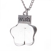 Fashionidea -Mooie zilverkleurige ketting met glazen hanger in de vorm van een bloem met paardenbloempluisjes en tekst "Wish"
