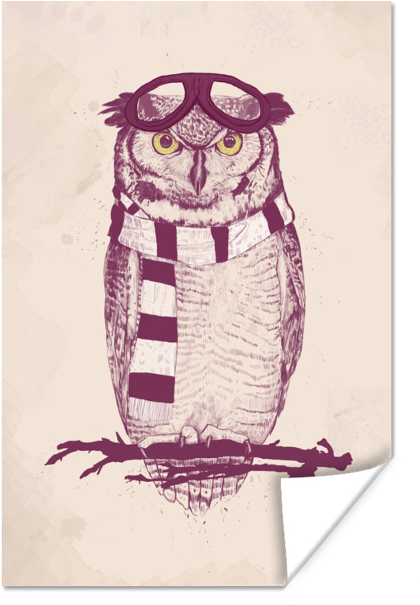Poster Uil - Sjaar - Bril - Tak - 80x120 cm
