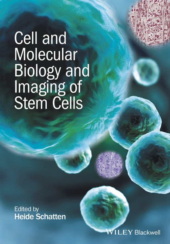 Cell and Molecular Biology and Imaging of Stem Cells - cover