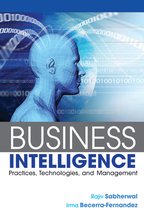 Business Intelligence