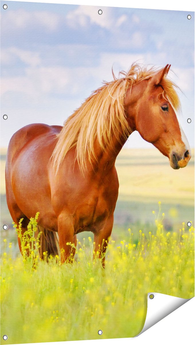 Gards Tuinposter Bruin Paard in de Wei - 80x120 cm - Tuindoek - Tuindecoratie - Wanddecoratie buiten - Tuinschilderij Multikleur