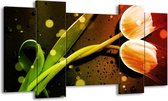 GroepArt - Schilderij - Tulp - Oranje, Groen, Rood - 120x65 5Luik - Foto Op Canvas - GroepArt 6000+ Schilderijen 0p Canvas Art Collectie - Wanddecoratie