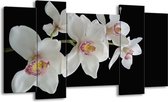 GroepArt - Schilderij - Orchidee - Wit, Zwart, Geel - 120x65 5Luik - Foto Op Canvas - GroepArt 6000+ Schilderijen 0p Canvas Art Collectie - Wanddecoratie