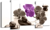 GroepArt - Schilderij - Orchidee - Paars, Grijs, Wit - 120x65 5Luik - Foto Op Canvas - GroepArt 6000+ Schilderijen 0p Canvas Art Collectie - Wanddecoratie