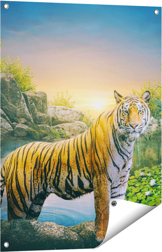 Gards Tuinposter Luipaard in een Vijver bij Zonsondergang - 60x80 cm - Tuindoek - Tuindecoratie - Wanddecoratie buiten - Tuinschilderij