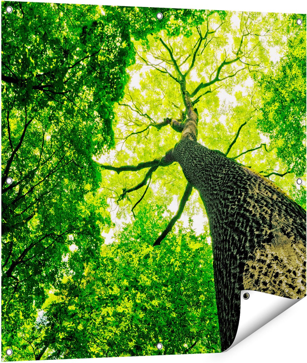 Gards Tuinposter Boom in het Bos met Fel Groene Bladeren - 90x90 cm - Tuindoek - Tuindecoratie - Wanddecoratie buiten - Tuinschilderij Multikleur