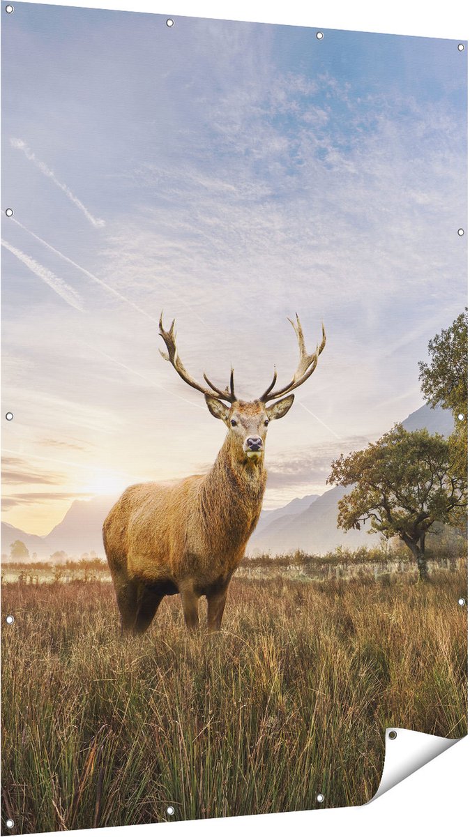 Gards Tuinposter Hert in het Landschap - 120x180 cm - Tuindoek - Tuindecoratie - Wanddecoratie buiten - Tuinschilderij Multikleur