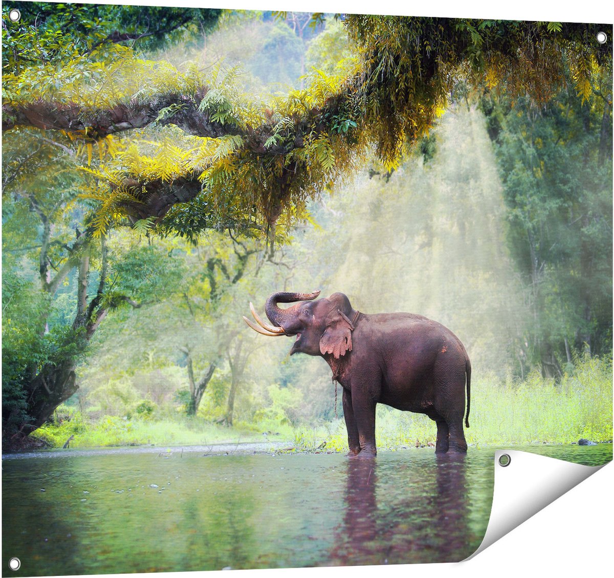 Gards Tuinposter Vrolijke Olifant in het Water - 100x80 cm - Tuindoek - Tuindecoratie - Wanddecoratie buiten - Tuinschilderij Multikleur