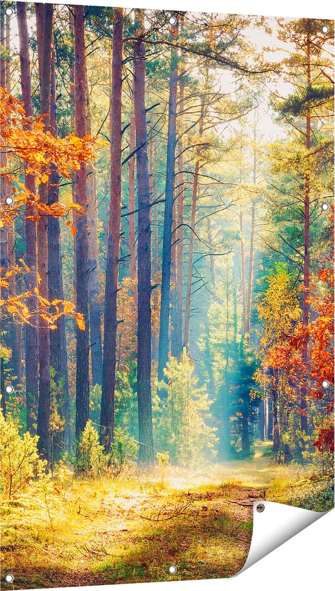 Gards Tuinposter Herfstbos met Zonneschijn - Kleur - 80x120 cm - Tuindoek - Tuindecoratie - Wanddecoratie buiten - Tuinschilderij Multikleur