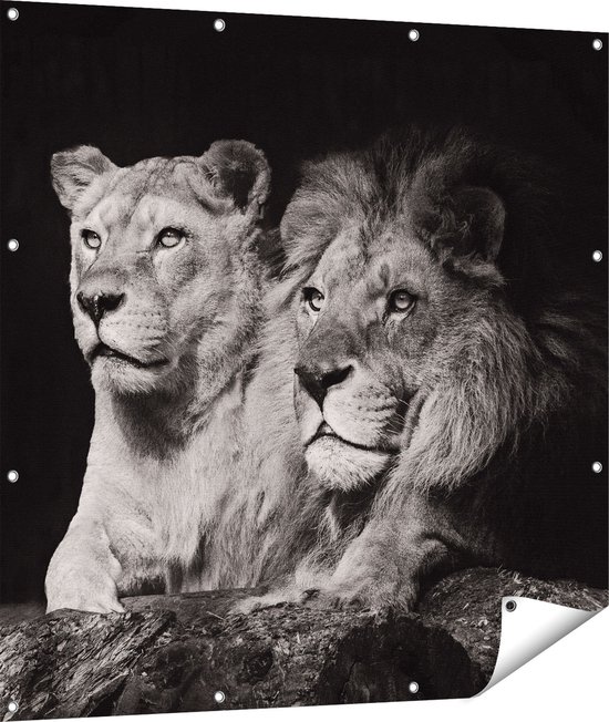 Affiche jardin Gards - 110x110 cm - Toile jardin - Décoration de jardin - Décoration murale extérieur - Tableau jardin