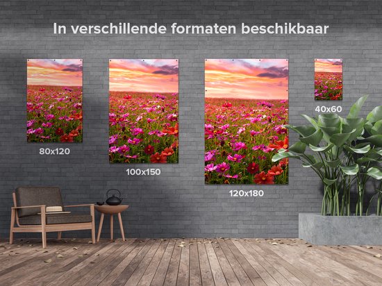 Gards Poster de jardin Champ de fleurs Kosmos coloré - 100x150 cm - Toile de jardin - Décoration de jardin - Décoration murale extérieure - Peinture de jardin
