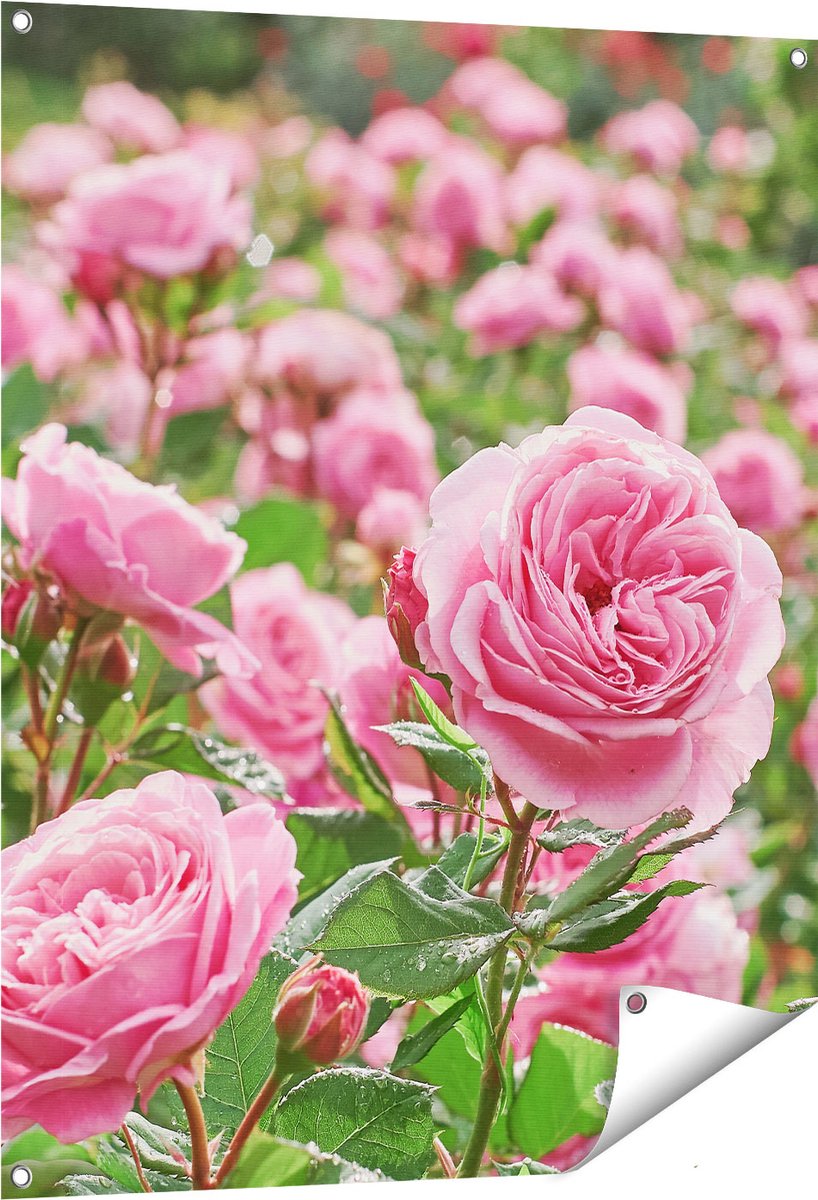 Gards Tuinposter Roze Rozen Bloemenveld - 80x100 cm - Tuindoek - Tuindecoratie - Wanddecoratie buiten - Tuinschilderij Multikleur