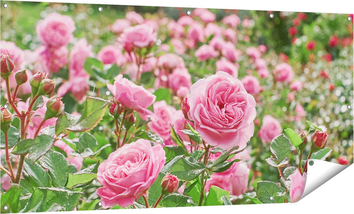 Gards Tuinposter Roze Rozen Bloemenveld - 160x80 cm - Tuindoek - Tuindecoratie - Wanddecoratie buiten - Tuinschilderij Multikleur
