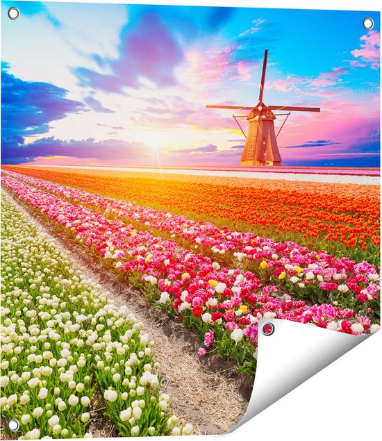 Gards Affiche de jardin Champ de fleurs colorées avec un moulin à vent -  60x60 cm 