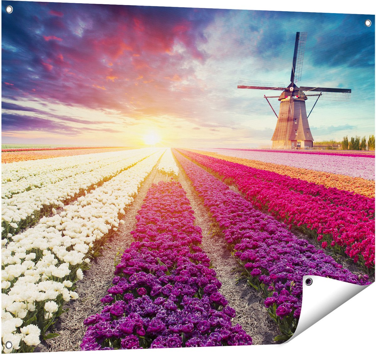 Gards Tuinposter Kleurrijke Tulpen Bloemenveld - Windmolen - 100x80 cm - Tuindoek - Tuindecoratie - Wanddecoratie buiten - Tuinschilderij Multikleur
