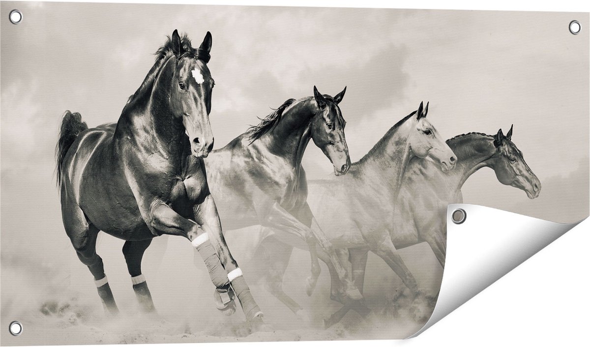 Gards Tuinposter Vier Paarden naast Elkaar - Zwart Wit - 80x40 cm - Tuindoek - Tuindecoratie - Wanddecoratie buiten - Tuinschilderij Multikleur