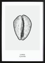 Cowry (29,7x42cm) - Wallified - Tropisch - Poster - Print - Wall-Art - Woondecoratie - Kunst - Posters