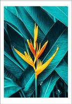 Tropical Flower (21x29,7cm) - Wallified - Tropisch - Poster - Print - Wall-Art - Woondecoratie - Kunst - Posters
