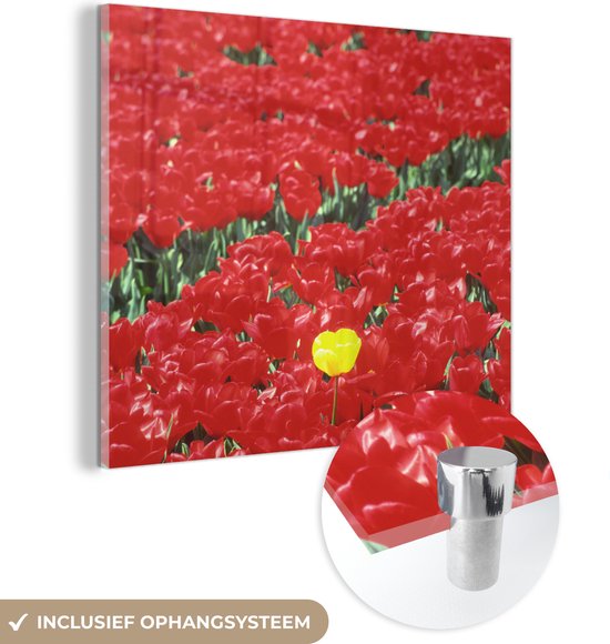MuchoWow® Glasschilderij 20x20 cm - Schilderij acrylglas - Een veld met rode tulpen in Nederland - Foto op glas - Schilderijen