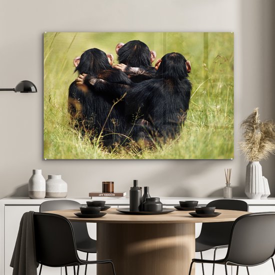 MuchoWow® Glasschilderij 120x80 cm - Schilderij acrylglas - Aap - Gras - Dieren - Foto op glas - Schilderijen