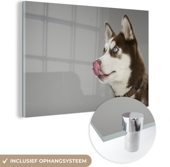 MuchoWow® Peinture sur verre - Husky - Animal - Lécher - 180x120 cm - Peintures sur verre acrylique - Photo sur Glas