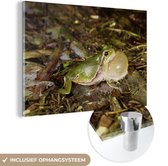 MuchoWow® Peinture sur verre 90x60 cm - Peinture sur verre acrylique - Grenouille coassante - Photo sur verre - Peintures
